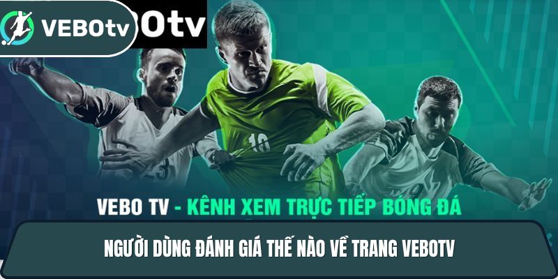 nguoi dung danh gia the nao ve trang vebotv
